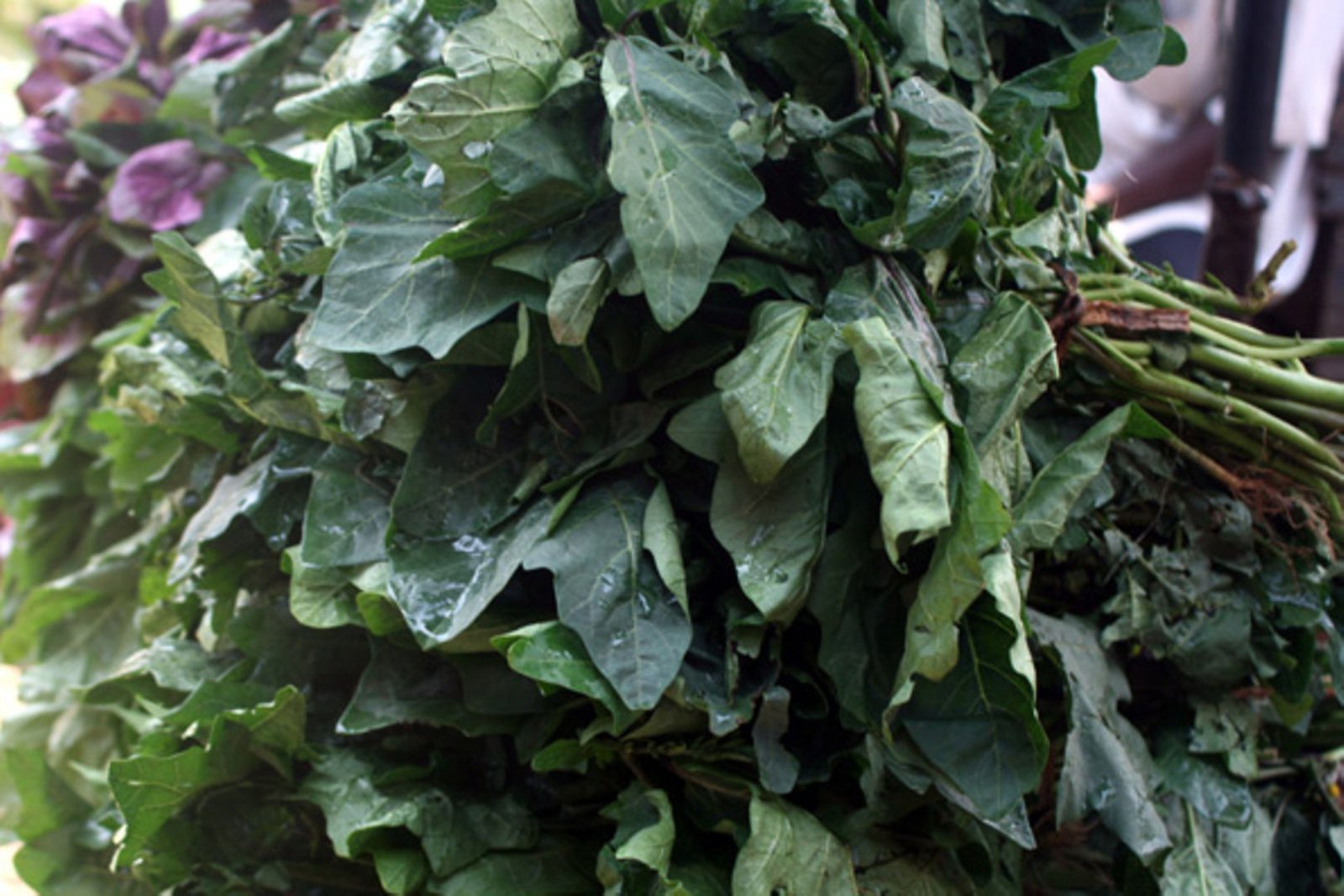 Kale