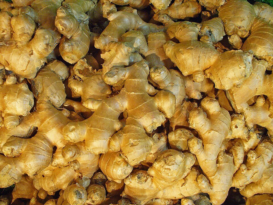 Ginger