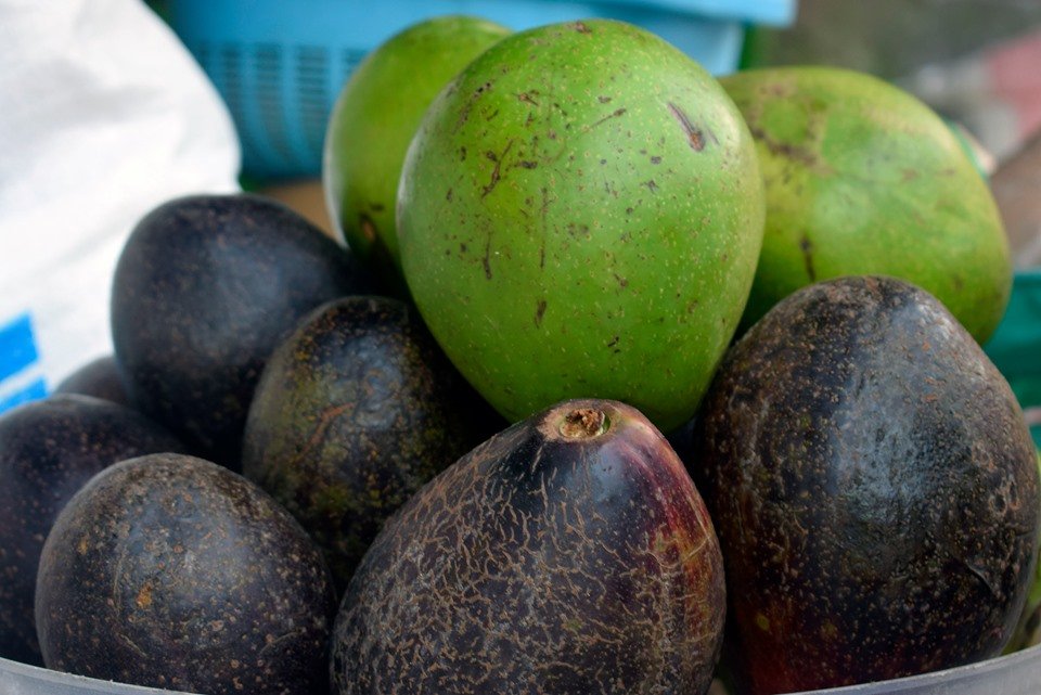Avocado
